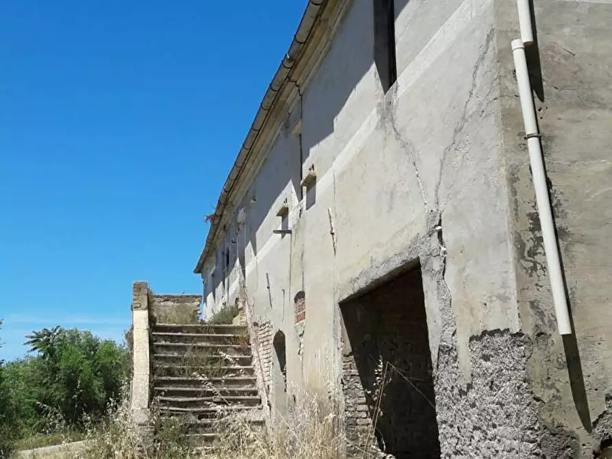 Immagine 13 di Rustico / casale in vendita  in Strada Provinciale 3 868 a Colonnella
