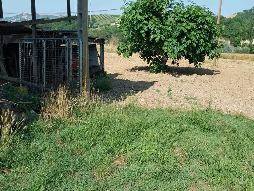 Immagine 15 di Casa indipendente in vendita  a Offida