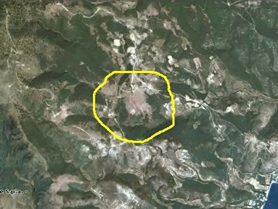 Immagine 16 di Terreno agricolo in vendita  a Mattinata