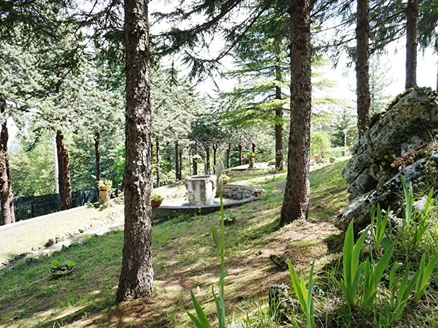 Immagine 56 di Casa indipendente in vendita  a Ascoli Piceno