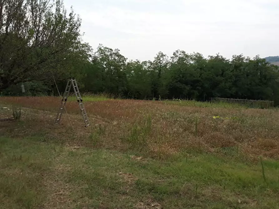 Immagine 8 di Agriturismo in vendita  a Offagna