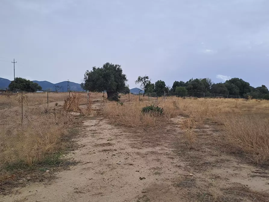Immagine 12 di Terreno agricolo in vendita  a Quartucciu