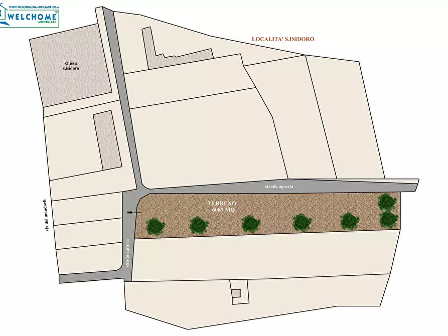 Immagine 2 di Terreno agricolo in vendita  a Quartucciu