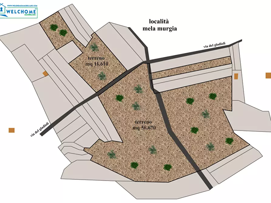 Immagine 36 di Terreno agricolo in vendita  in Via dei Gladioli a Quartucciu