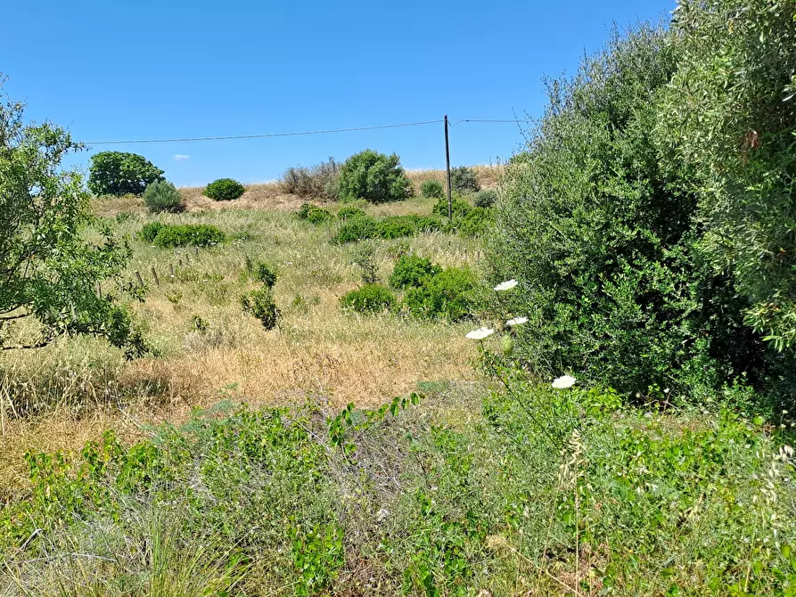 Immagine 10 di Terreno agricolo in vendita  a Settimo San Pietro