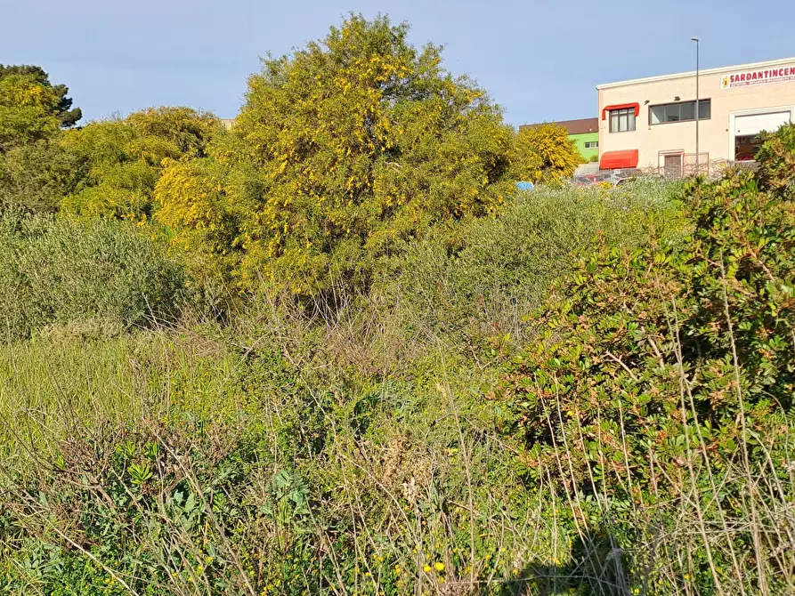 Immagine 10 di Terreno industriale in vendita  a Selargius