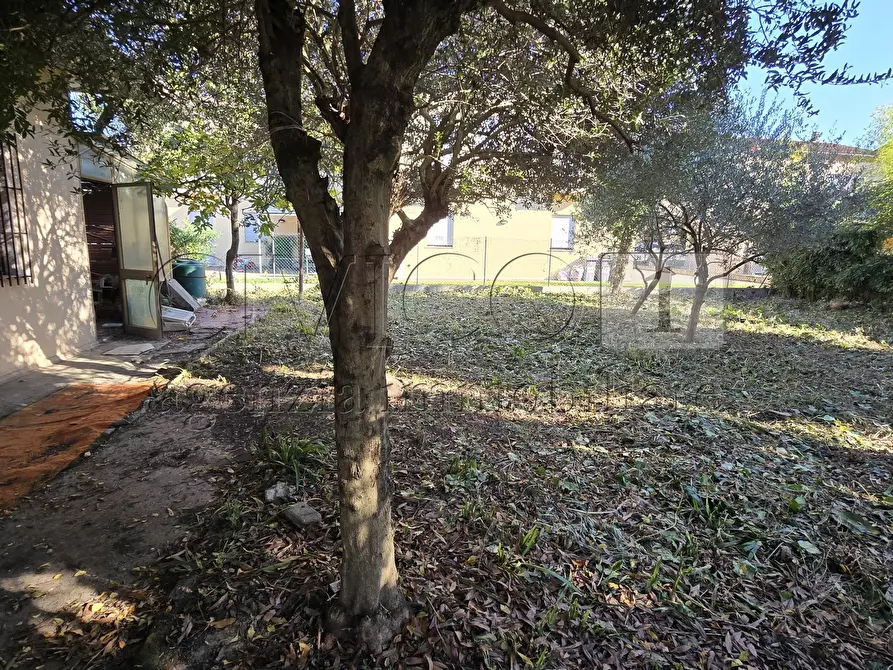 Immagine 7 di Casa indipendente in vendita  in via Veneto 52 a Castegnero