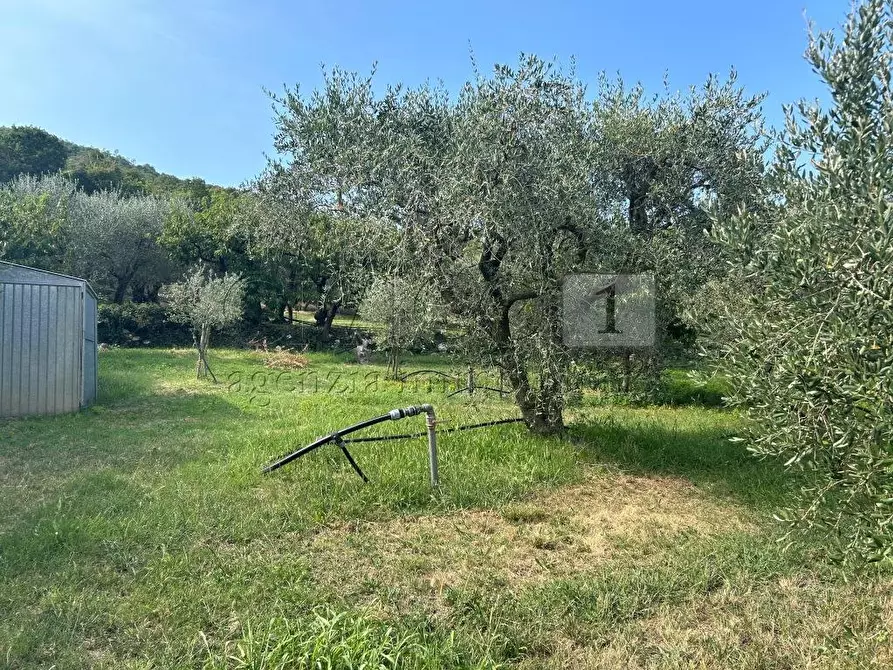 Immagine 13 di Terreno agricolo in vendita  in Via Castellaro a Castegnero