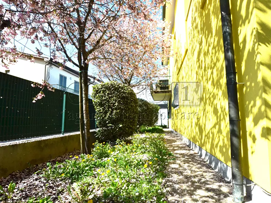 Immagine 1 di Casa indipendente in vendita  in Via Galileo Galilei 4 a Albignasego