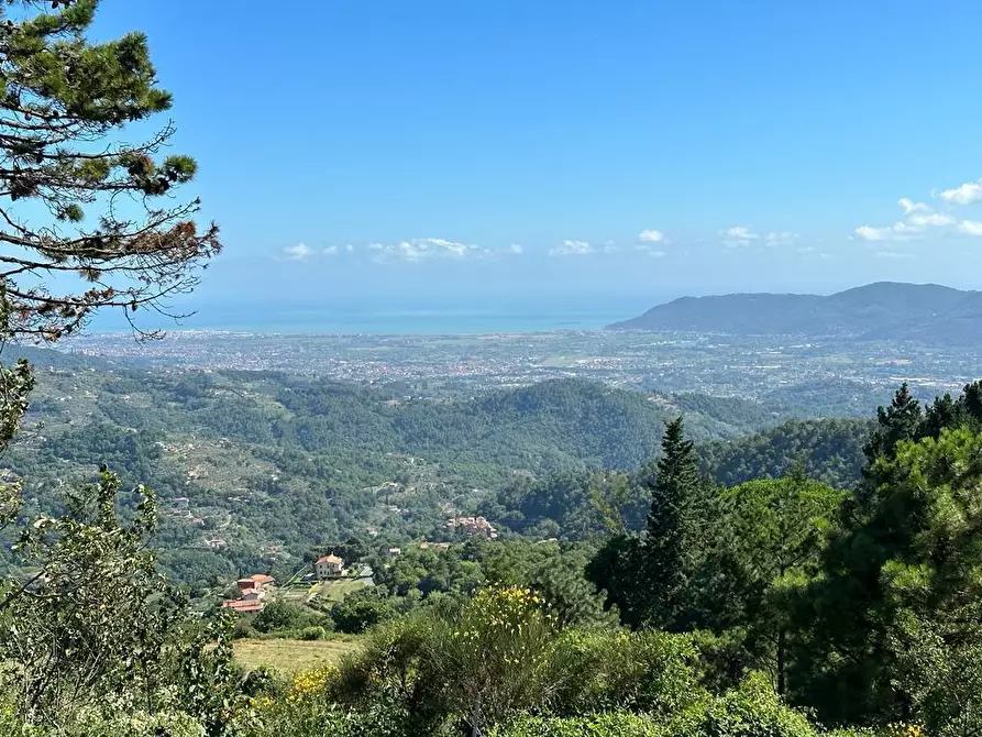 Immagine 30 di Villa in vendita  in Via Pianaccia a Fosdinovo