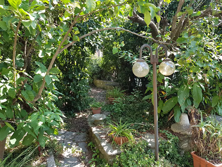 Immagine 6 di Villa in vendita  in Via Milazzo 65 a Carrara