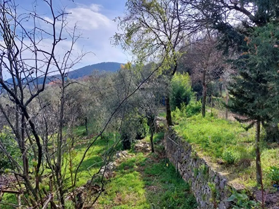 Immagine 15 di Rustico / casale in vendita  in Via Caffaggio 10 a Ameglia