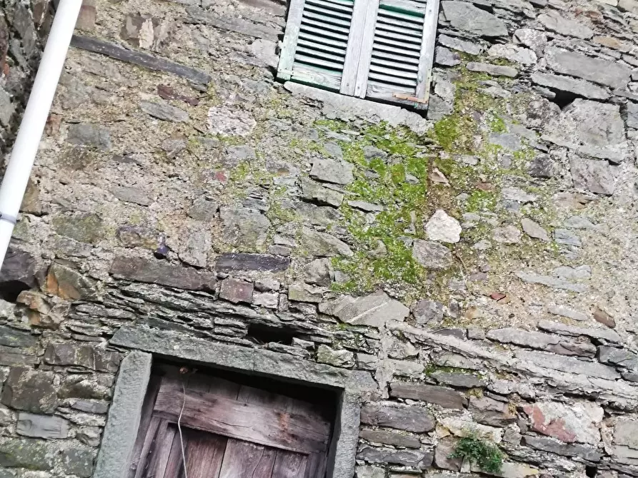 Immagine 3 di Casa semindipendente in vendita  in Zeri a Zeri