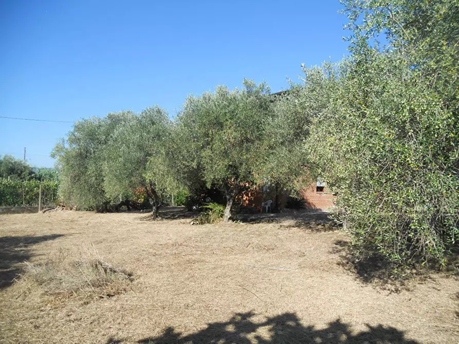 Immagine 6 di Villa in vendita  in Via Luni 36 a Ortonovo