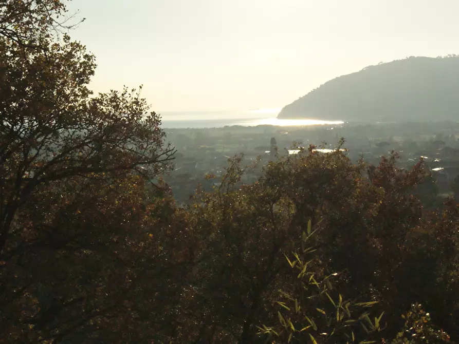 Immagine 46 di Villa in vendita  in Via dei Pini 40 a Castelnuovo Magra