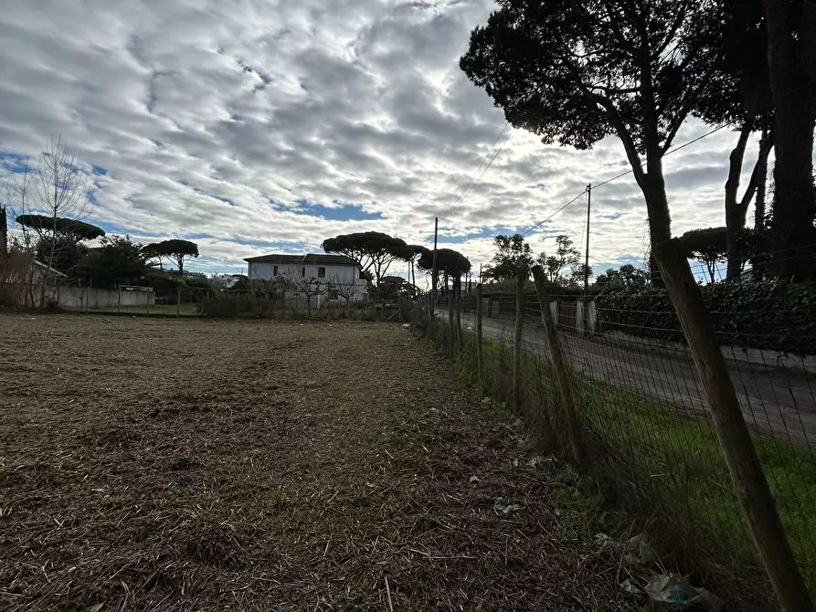Immagine 12 di Terreno industriale in vendita  in La Siesta 1 a Terracina