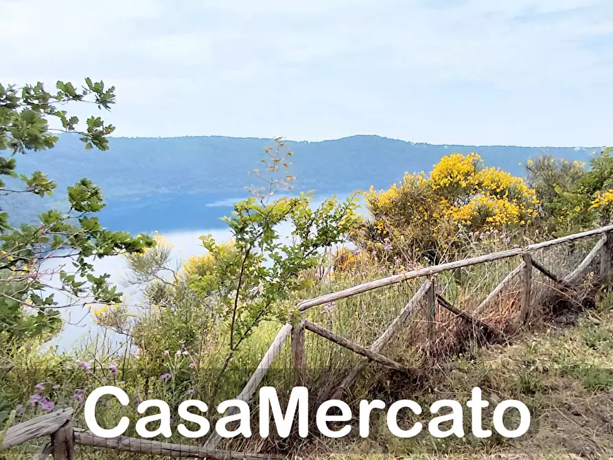 Immagine 1 di Terreno agricolo in vendita  a Rocca Di Papa