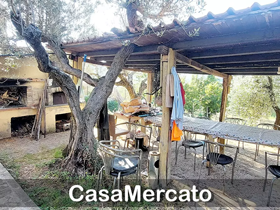 Immagine 17 di Rustico / casale in vendita  in Via del Tuscolo a Grottaferrata