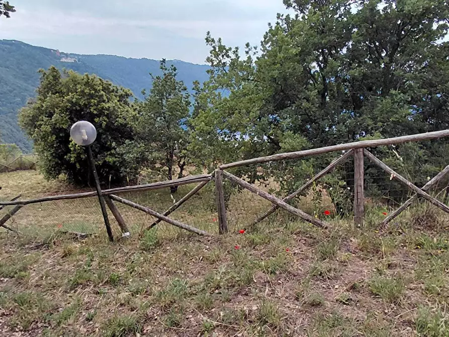 Immagine 14 di Terreno agricolo in vendita  a Rocca Di Papa