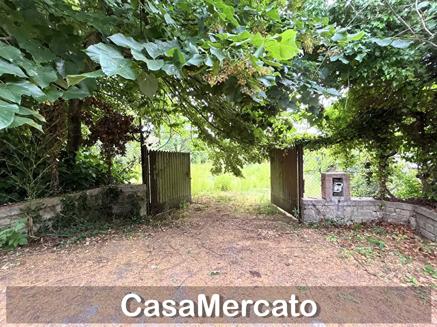 Immagine 11 di Rustico / casale in vendita  a Grottaferrata