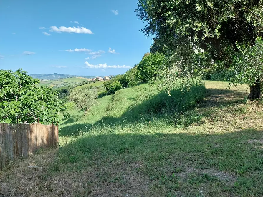 Immagine 23 di Casa indipendente in vendita  a Castorano
