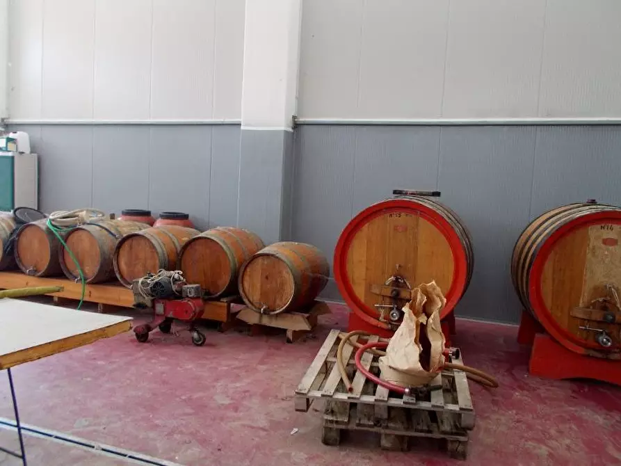 Immagine 12 di Azienda agricola in vendita  a Ripatransone