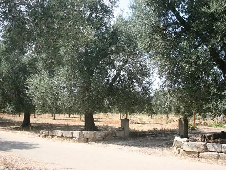 Immagine 26 di Terreno agricolo in vendita  in contrada mandrò a Cutrofiano