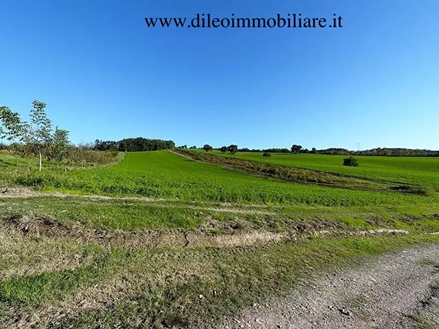 Immagine 6 di Azienda agricola in vendita  a Pesaro