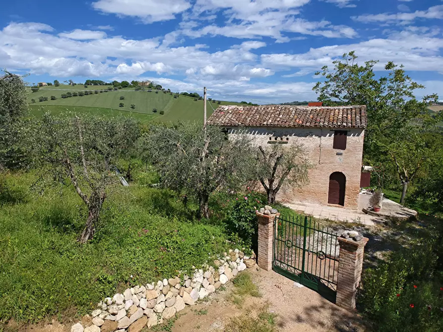 Immagine 11 di Rustico / casale in affitto  a Monsampietro Morico