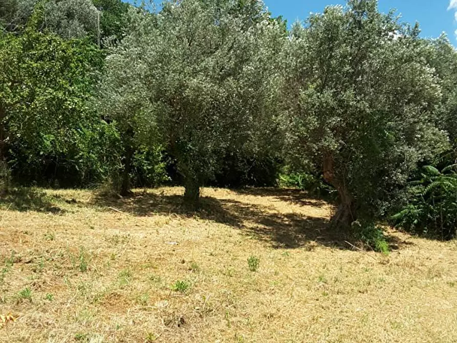 Immagine 10 di Casa indipendente in vendita  a Cupra Marittima