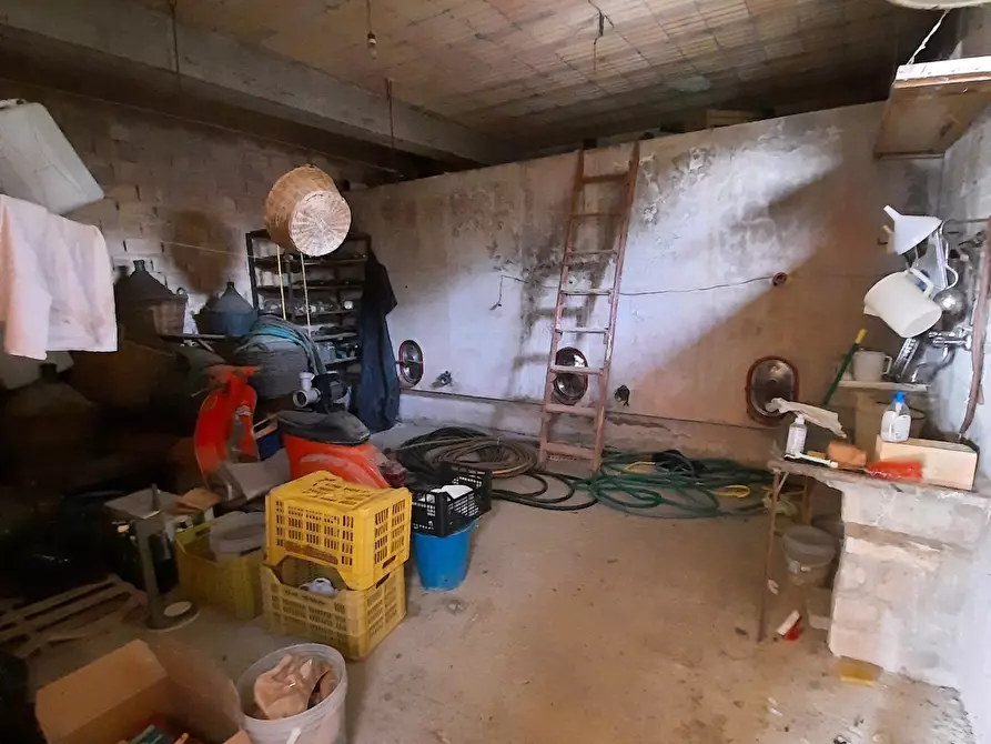 Immagine 31 di Casa indipendente in vendita  a Ripatransone