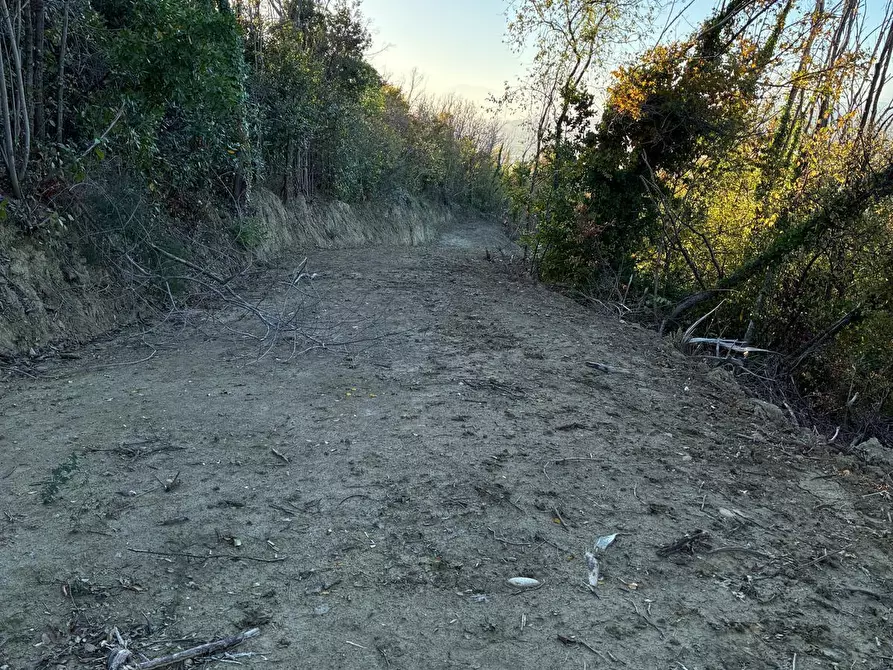Immagine 16 di Casa indipendente in vendita  a Colonnella
