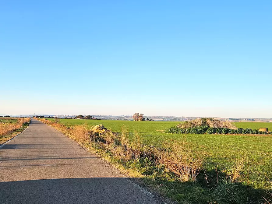 Immagine 3 di Terreno industriale in vendita  a Tarquinia