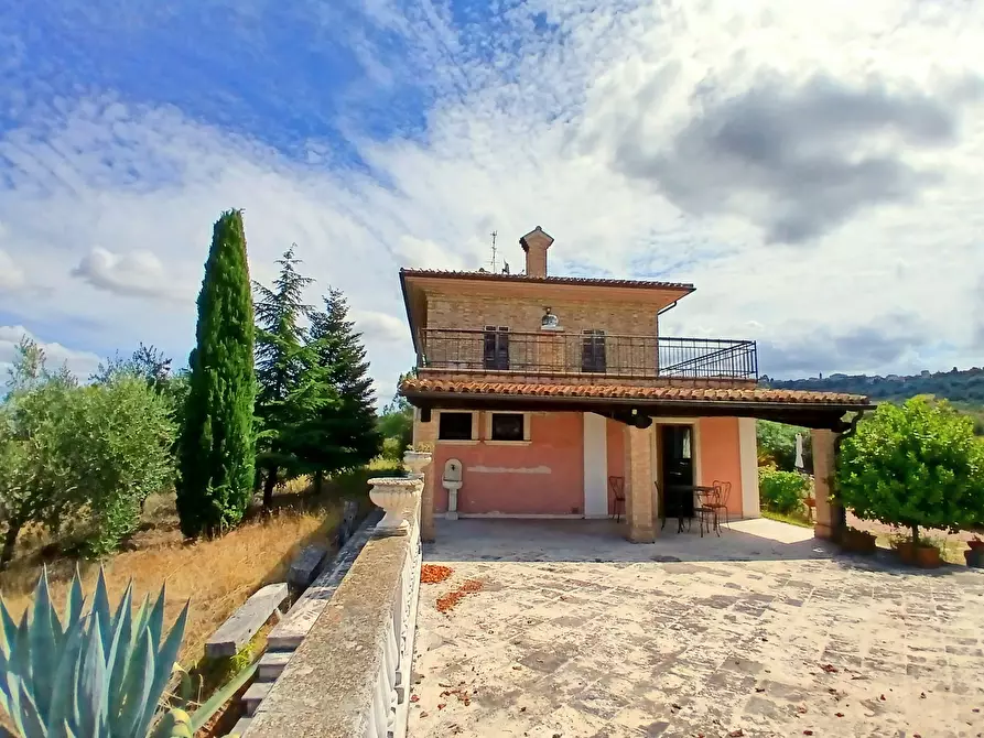 Immagine 24 di Casa indipendente in vendita  a Ancarano