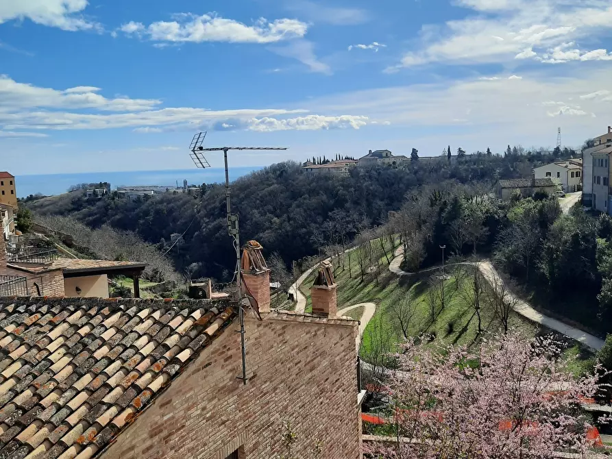 Immagine 2 di Casa indipendente in vendita  a Ripatransone
