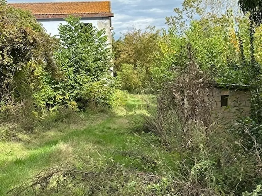 Immagine 9 di Rustico / casale in vendita  a Ripatransone