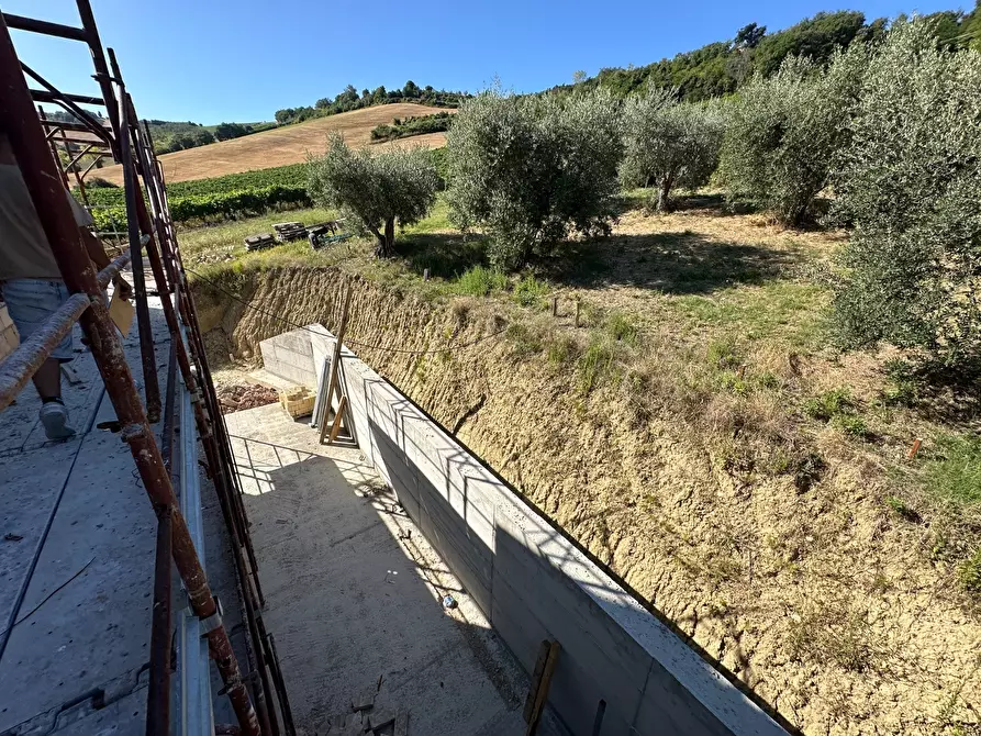 Immagine 18 di Rustico / casale in vendita  a Ripatransone
