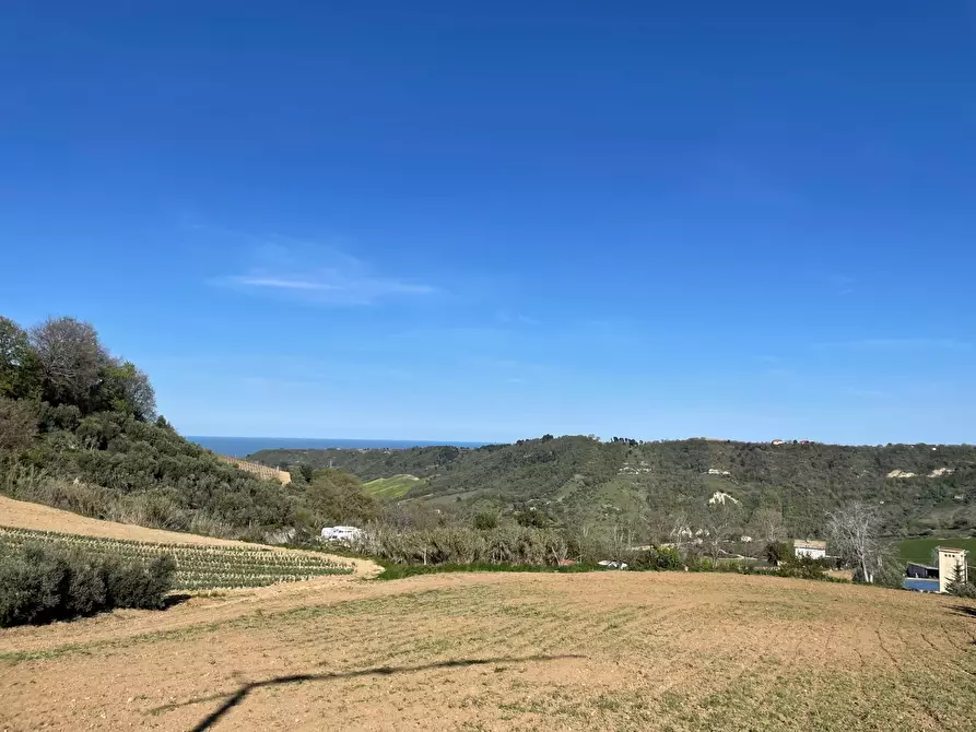 Immagine 3 di Rustico / casale in vendita  a Ripatransone