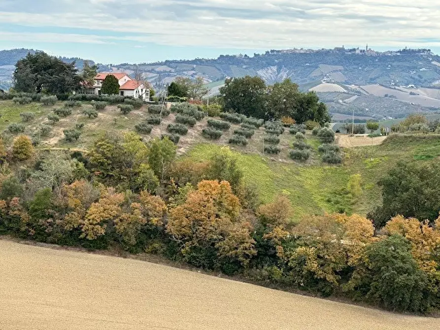 Immagine 40 di Casa bifamiliare in vendita  a Carassai