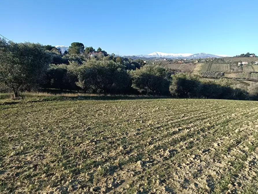 Immagine 28 di Rustico / casale in vendita  a Monsampolo Del Tronto