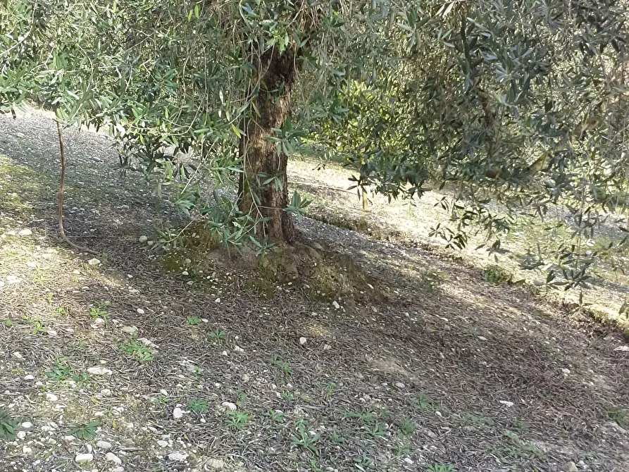 Immagine 22 di Casa indipendente in vendita  a San Benedetto Del Tronto