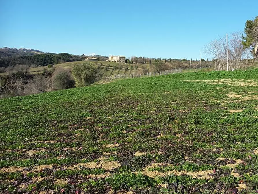 Immagine 20 di Terreno agricolo in vendita  a Cupra Marittima