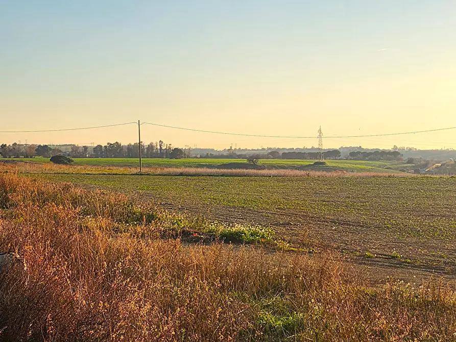 Immagine 10 di Terreno industriale in vendita  a Tarquinia