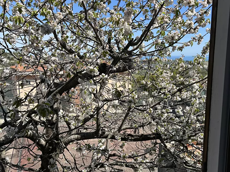 Immagine 33 di Casa indipendente in vendita  a Acquaviva Picena