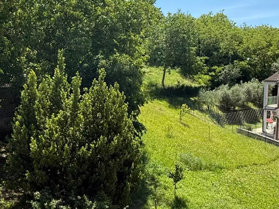 Immagine 9 di Appartamento in affitto  a Venarotta