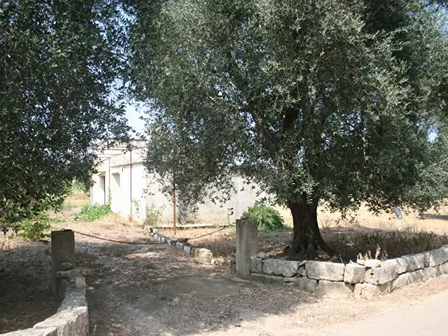 Immagine 2 di Terreno agricolo in vendita  in contrada mandrò a Cutrofiano