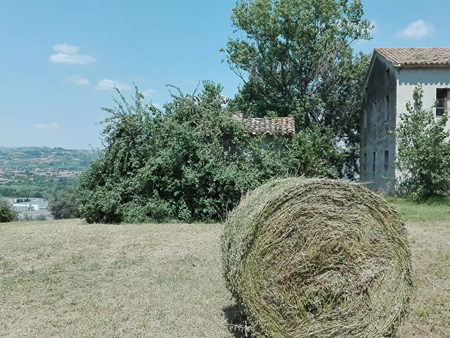Immagine 14 di Casa indipendente in vendita  a Controguerra