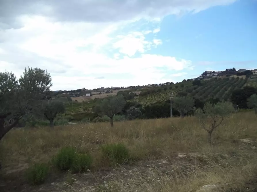 Immagine 17 di Casa indipendente in vendita  a Colonnella