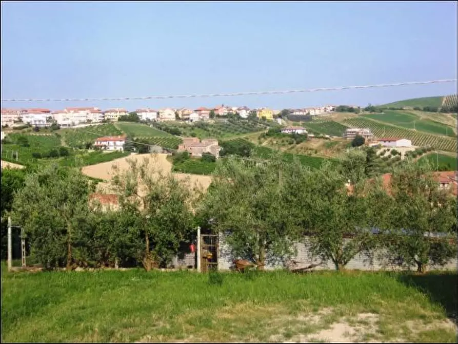 Immagine 6 di Rustico / casale in vendita  a Offida