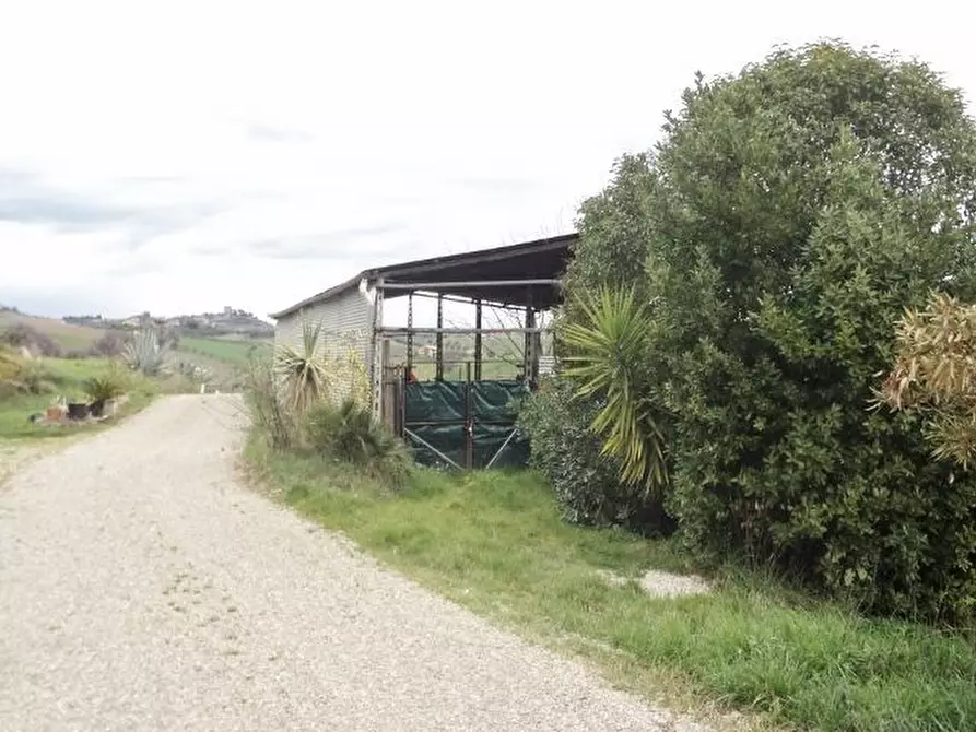 Immagine 20 di Rustico / casale in vendita  a Monsampolo Del Tronto